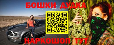 МДПВ Пушкино
