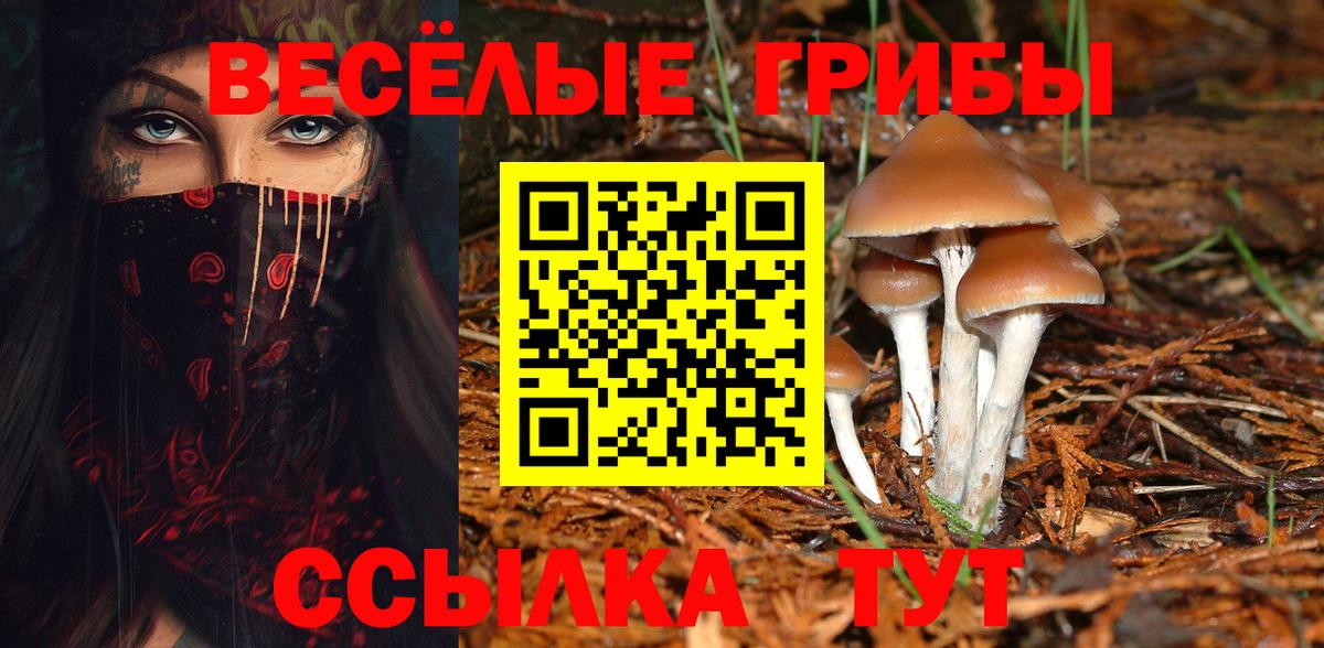 Галлюциногенные грибы мухоморы  Вход с VPN  Псилоцибиновые грибы прущие грибы  Советск 